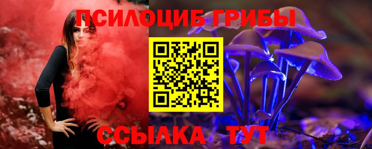 Галлюциногенные грибы Psilocybine cubensis Ликино-Дулёво